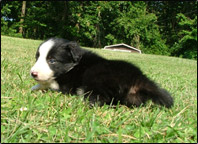 Male 4